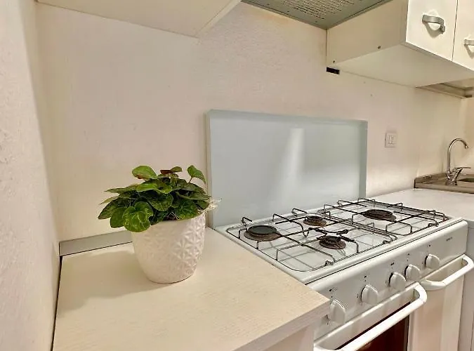 Sea Rocks House 別荘 *